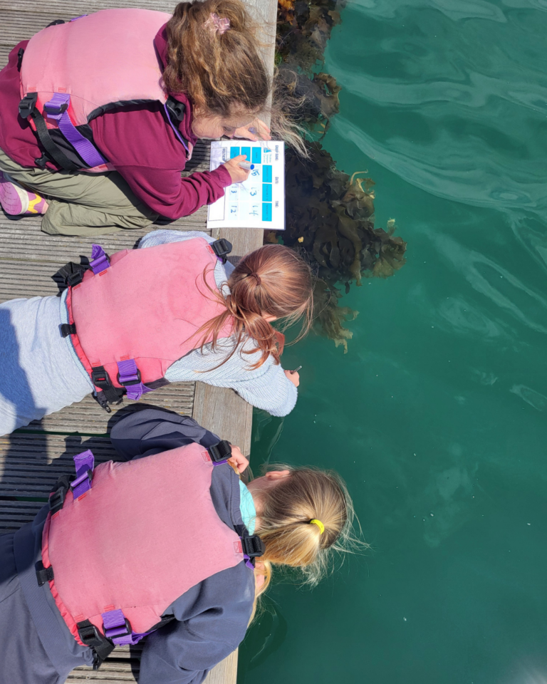 Young people testing water quality